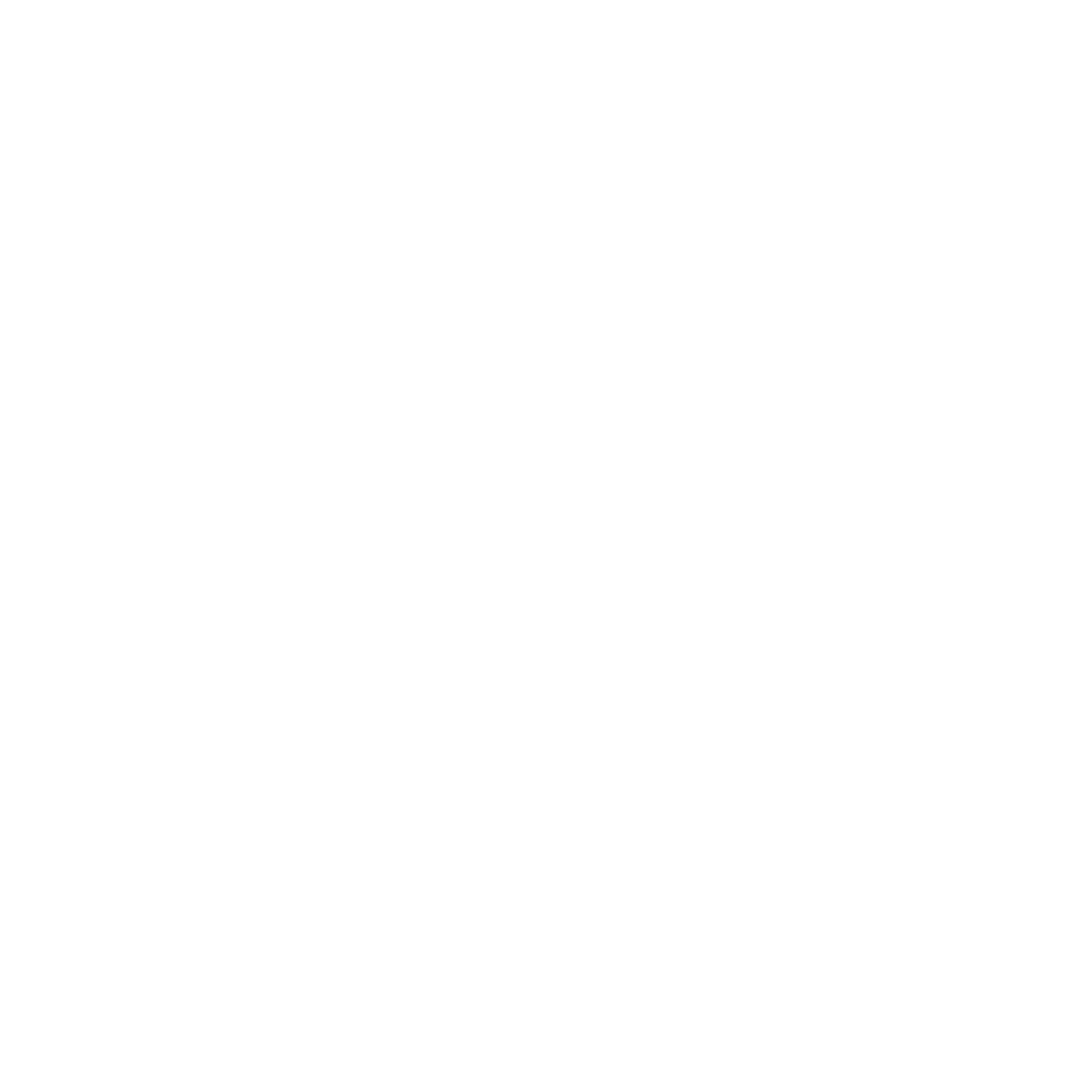 RLuxury Group logo